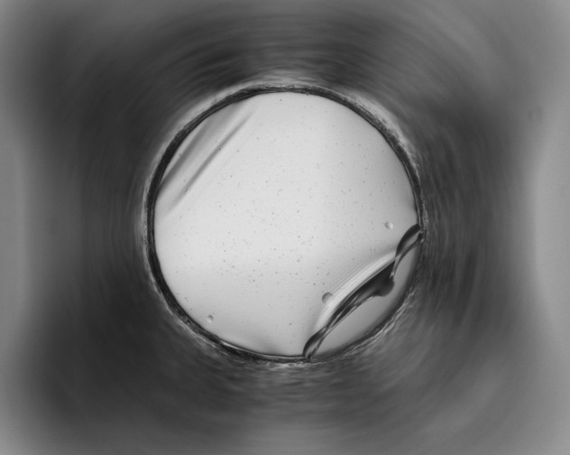 X0000096381335200802211113