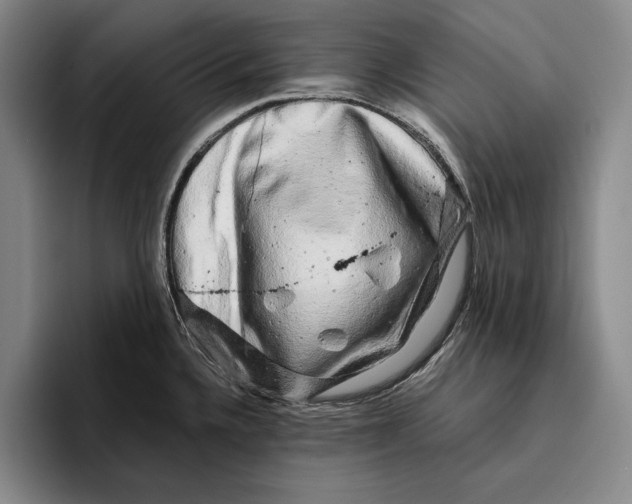 X0000096381336200802211113