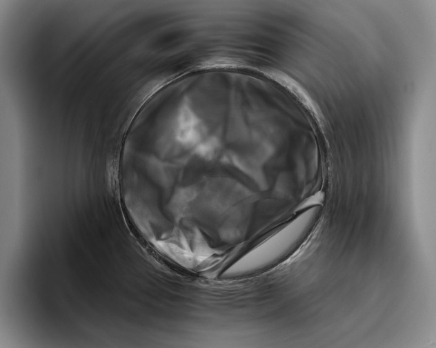 X0000096381337200802211113