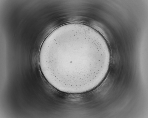 X0000096381338200802211113