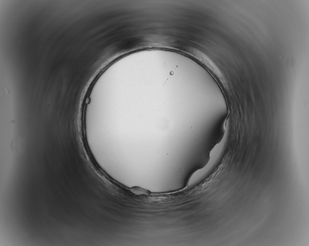 X0000096381339200802211113