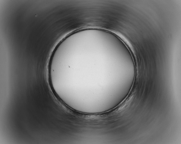 X0000096381341200802211114