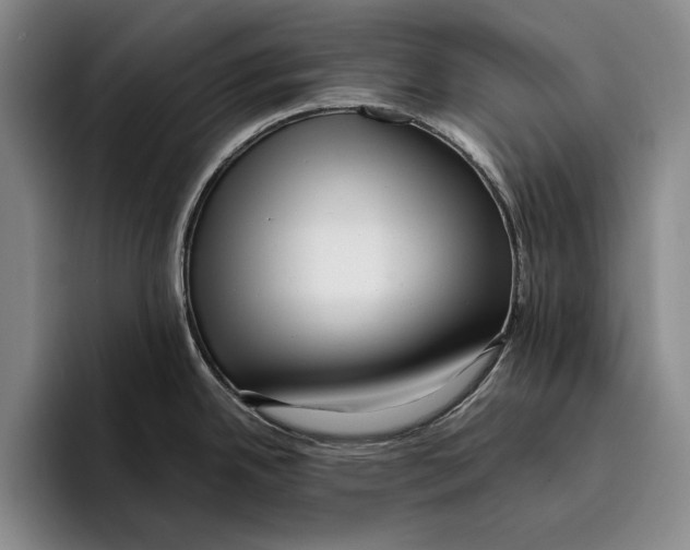 X0000096381342200802211114