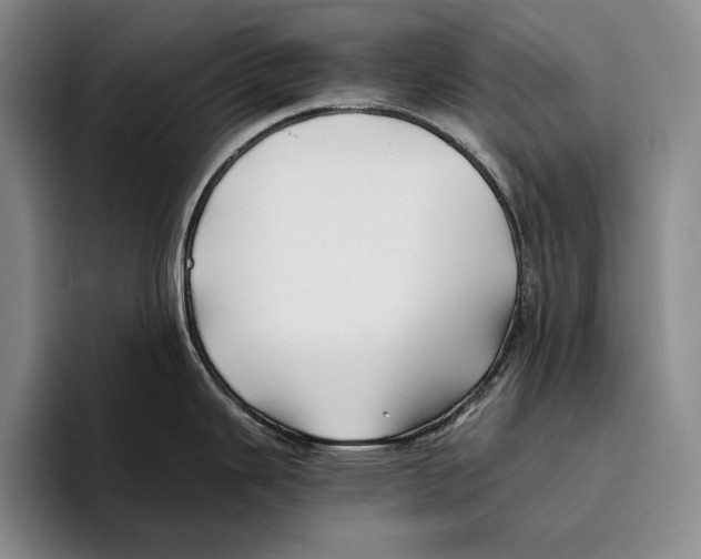 X0000096381343200802211114