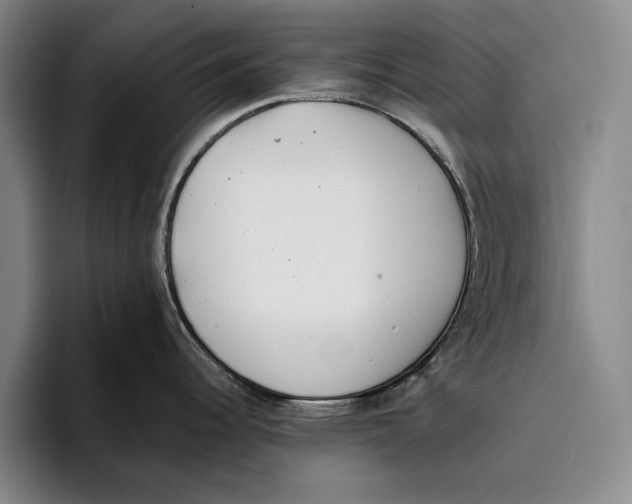 X0000096381344200802211114