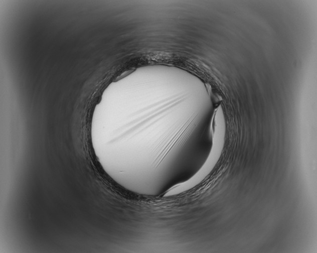 X0000096381345200802211113