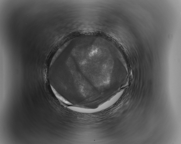 X0000096381348200802211113