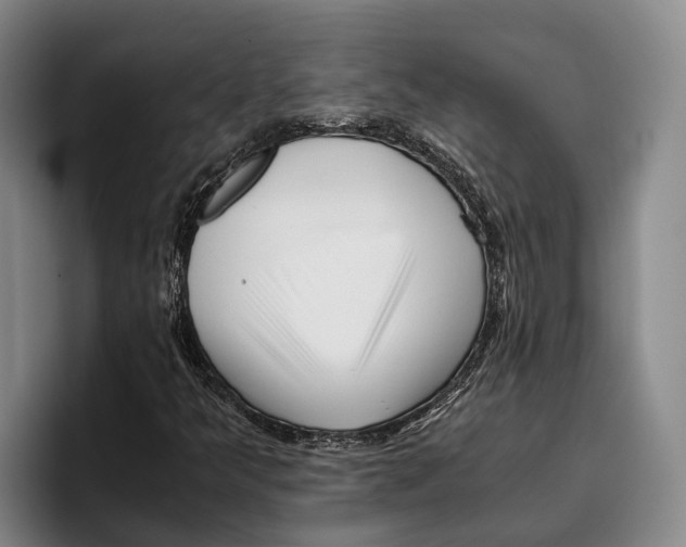 X0000096381349200802211113