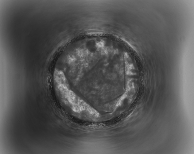 X0000096381351200802211113