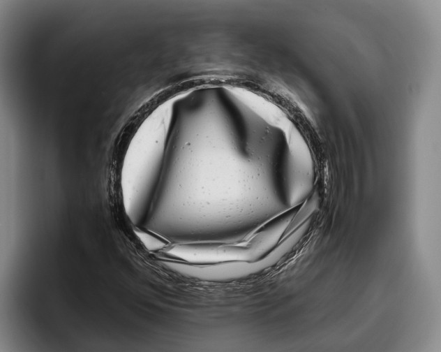 X0000096381352200802211113