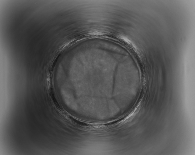 X0000096381353200802211113