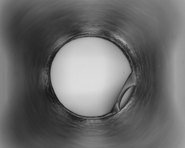 X0000096381354200802211113