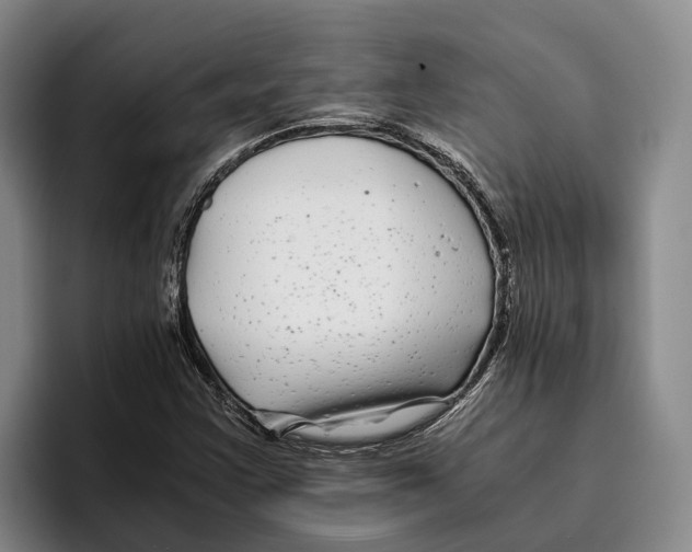 X0000096381355200802211113