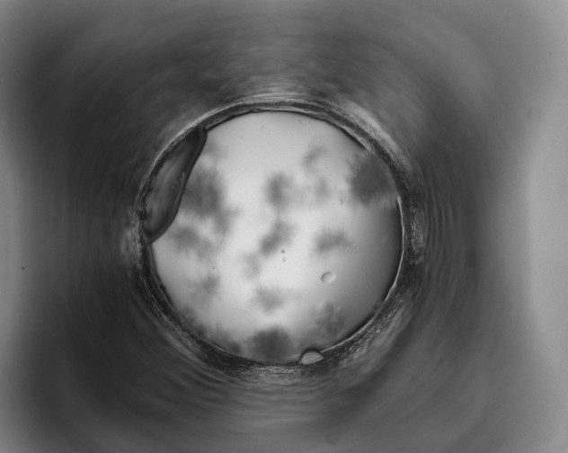 X0000096381356200802211113