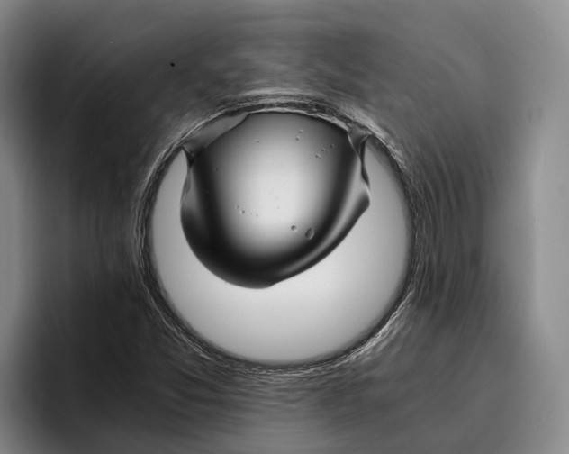 X0000096381357200802211113