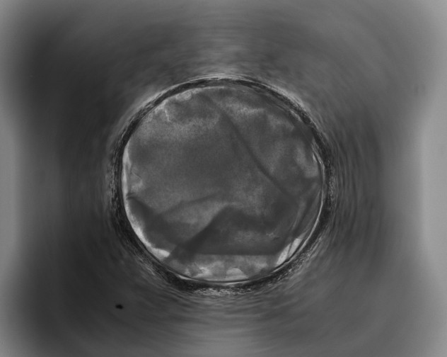 X0000096381359200802211113