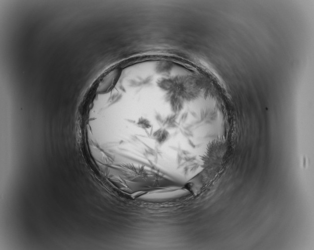 X0000096381360200802211113
