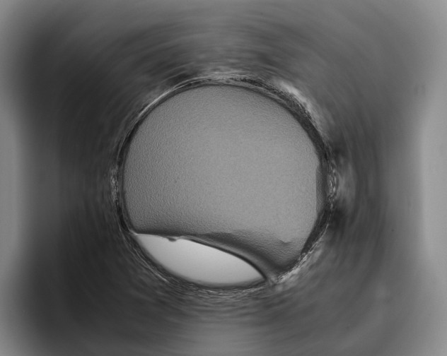 X0000096381361200802211113