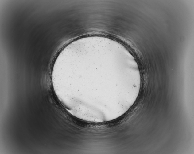 X0000096381363200802211113