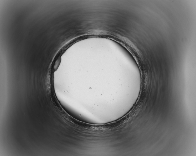 X0000096381364200802211113