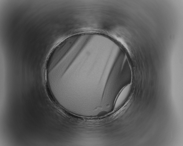 X0000096381365200802211113