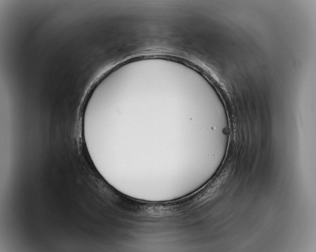 X0000096381366200802211113