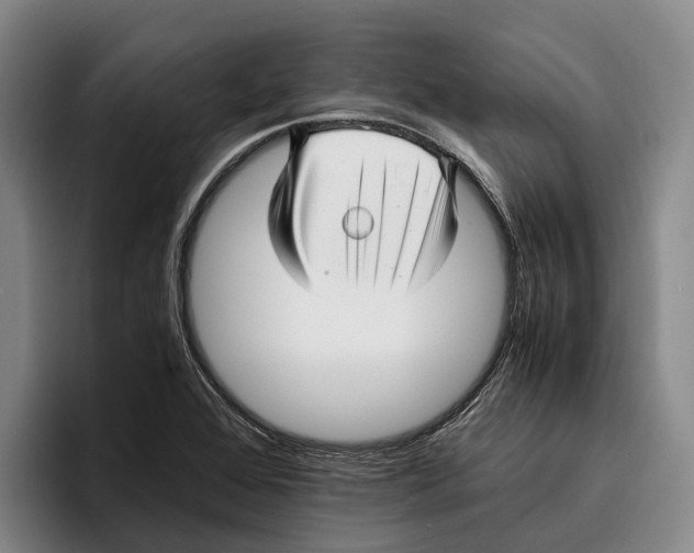 X0000096381368200802211113