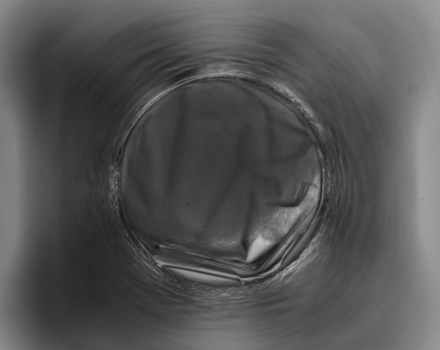 X0000096381369200802211113