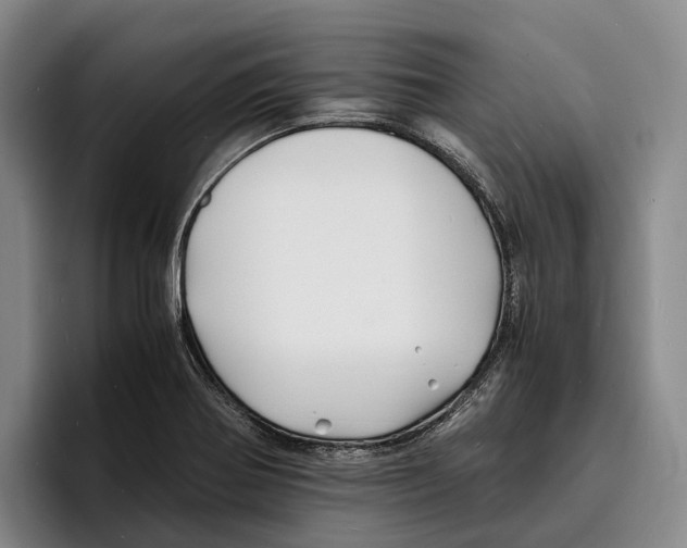 X0000096381370200802211113