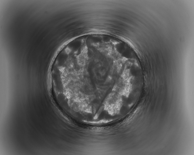 X0000096381371200802211113