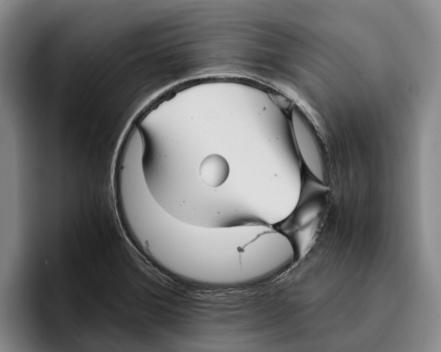 X0000096381372200802211113