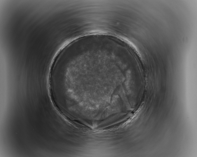 X0000096381373200802211113