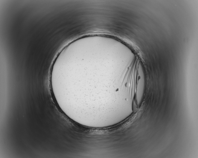 X0000096381374200802211113