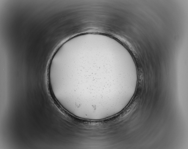 X0000096381375200802211113