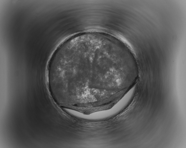 X0000096381376200802211113