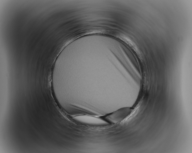 X0000096381377200802211113