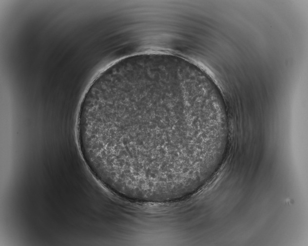 X0000096381379200802211112