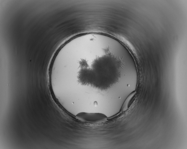 X0000096381380200802211112