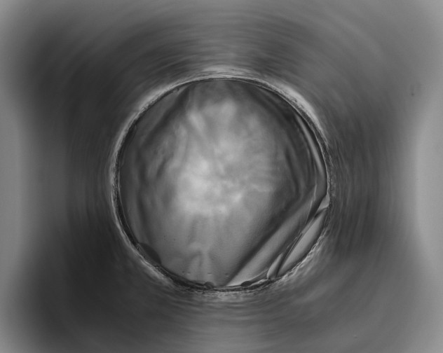 X0000096381381200802211112