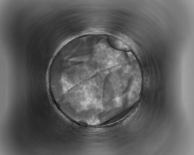 X0000096381382200802211112