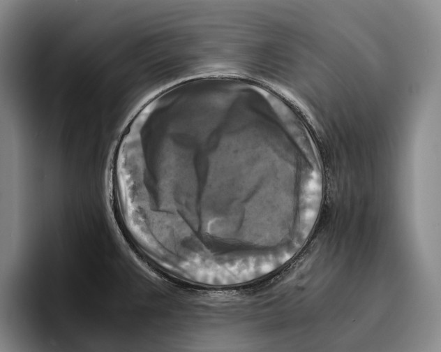 X0000096381383200802211112