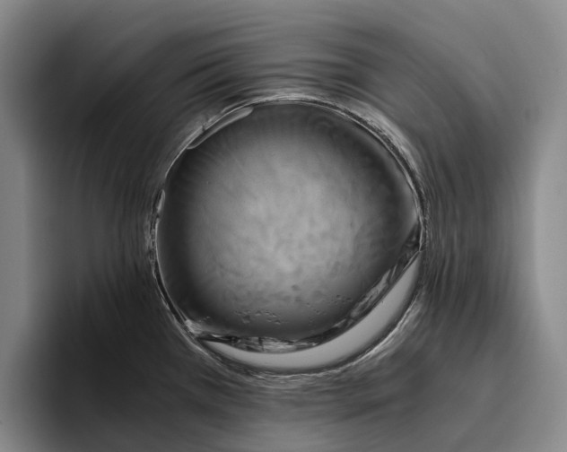 X0000096381385200802211112