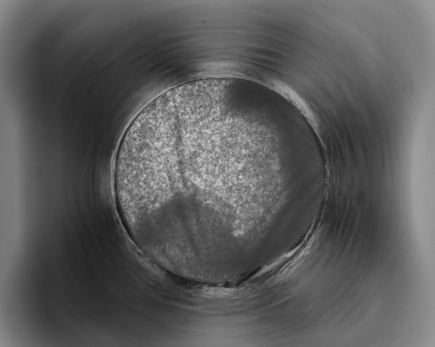 X0000096381386200802211112