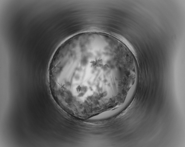 X0000096381388200802211112