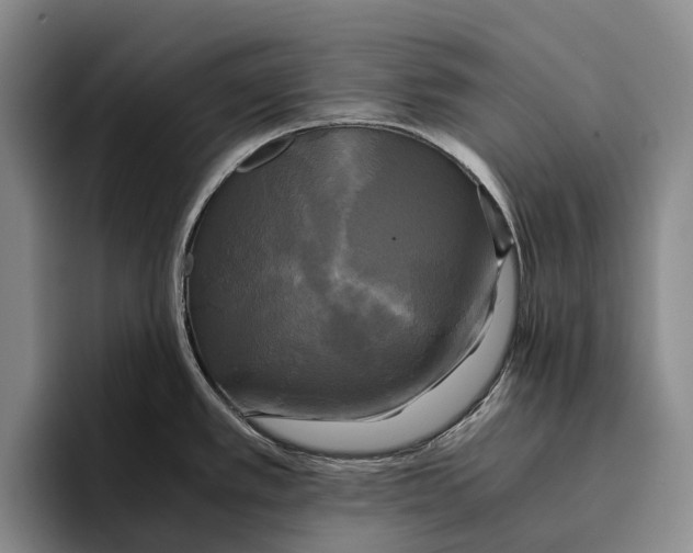 X0000096381389200802211112