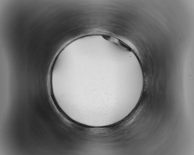 X0000096381391200802211112