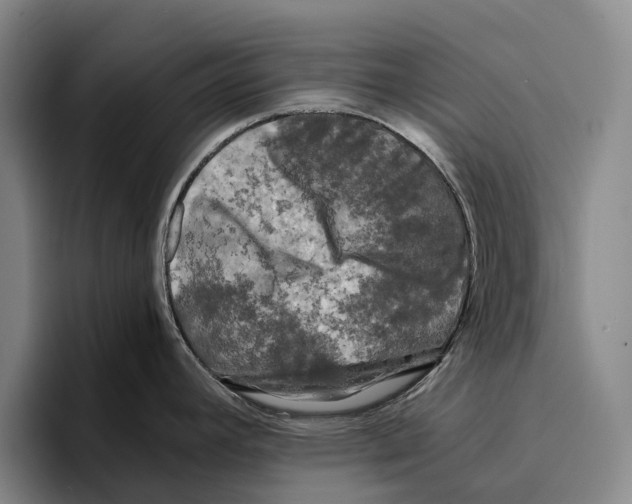 X0000096381392200802211112