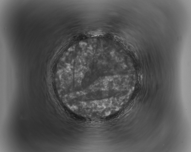 X0000096381393200802211112