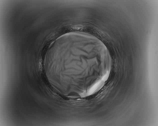 X0000096381394200802211112