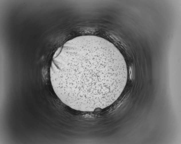 X0000096381395200802211112